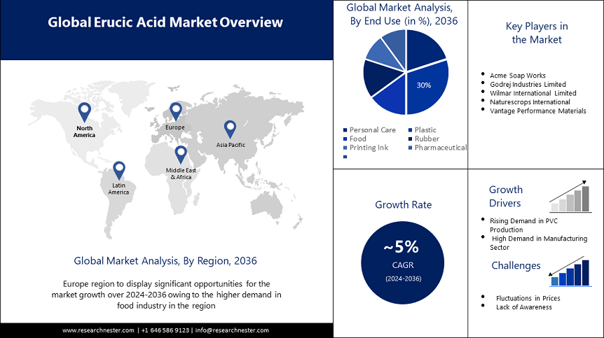 Erucic Acid Market